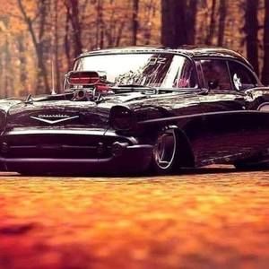 Meet your Posher, Milo